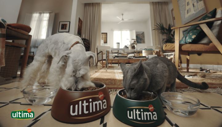 Ultima.png