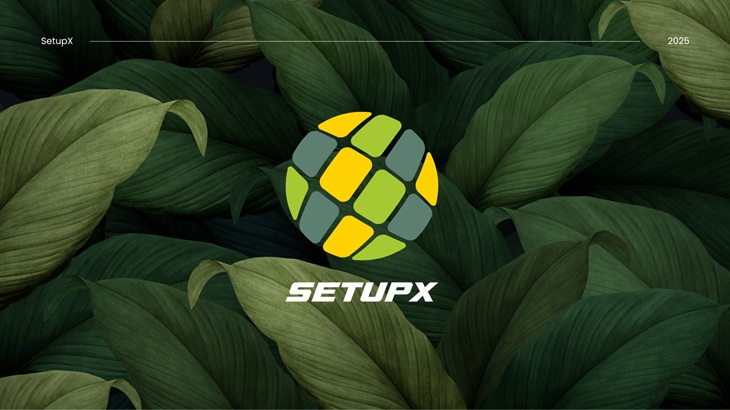 SetupX - Company profile.jpg