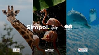 simpol_on.jpg