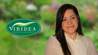 viridea.png