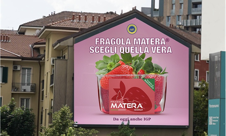 fragola-matera.jpg
