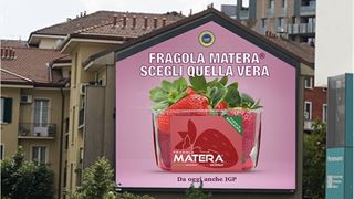 fragola-matera.jpg