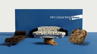 PetCollectioElanco_FuoriSalone26.jpg