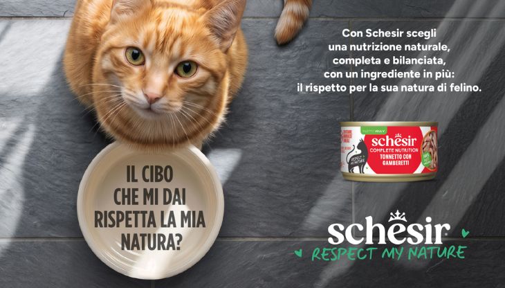 schesir.jpg