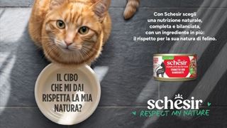 schesir.jpg