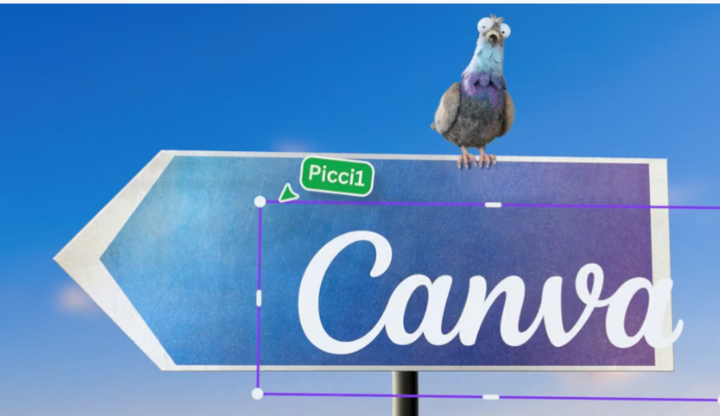 canva.png