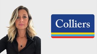 colliers.png